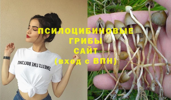 спайс Аркадак