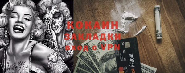 кокс Алексин