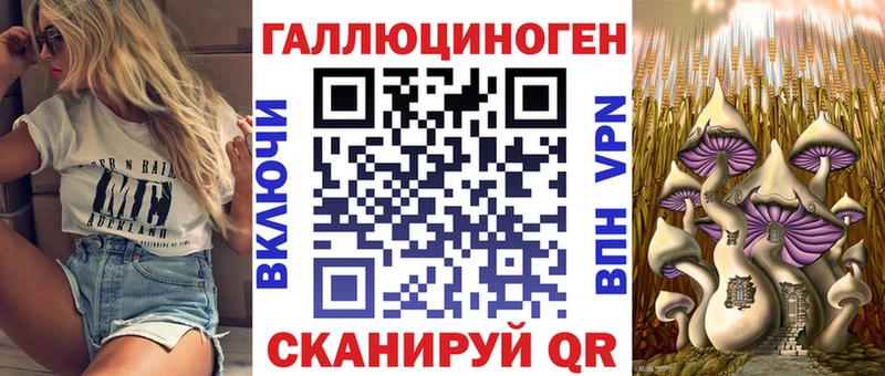 купить закладку  Гаджиево  Галлюциногенные грибы Psilocybe 